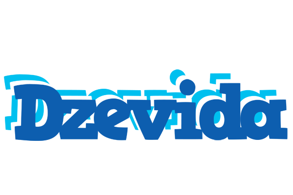 Dzevida business logo