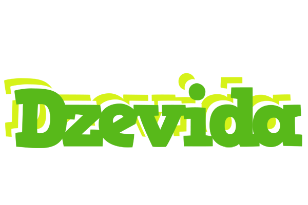 Dzevida picnic logo