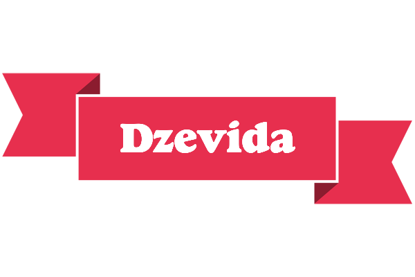 Dzevida sale logo