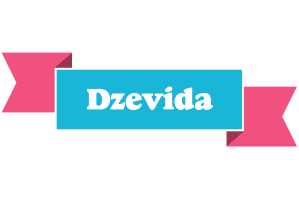 Dzevida today logo