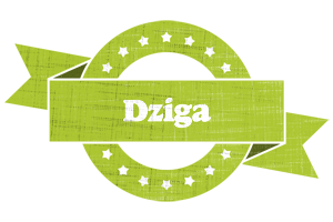 Dziga change logo