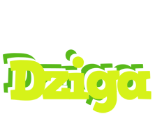 Dziga citrus logo