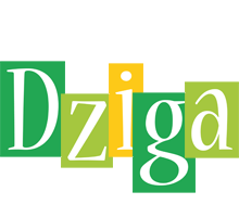 Dziga lemonade logo
