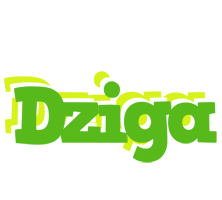 Dziga picnic logo