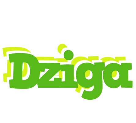 Dziga picnic logo