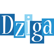 Dziga winter logo