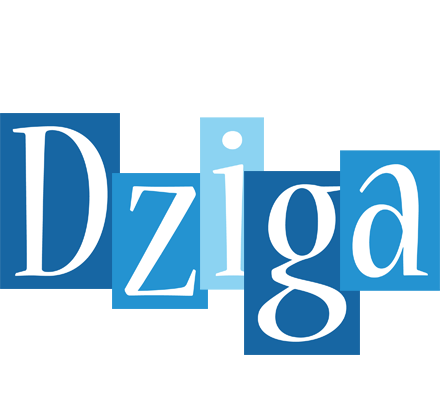 Dziga winter logo