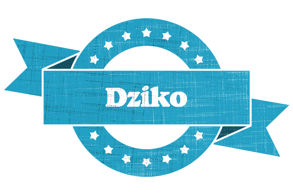 Dziko balance logo