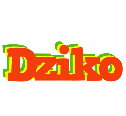 Dziko bbq logo