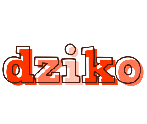 Dziko paint logo