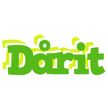 Dårit picnic logo