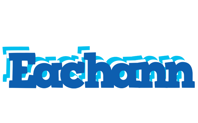 Eachann business logo
