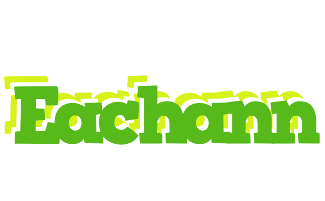 Eachann picnic logo