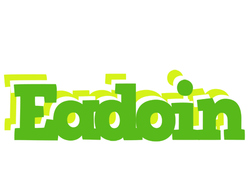 Eadoin picnic logo