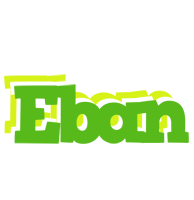 Eban picnic logo