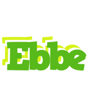 Ebbe picnic logo