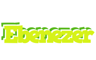 Ebenezer citrus logo