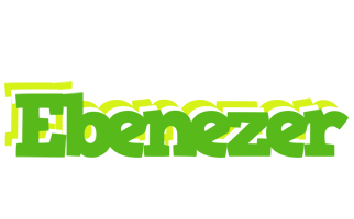 Ebenezer picnic logo