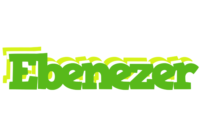 Ebenezer picnic logo