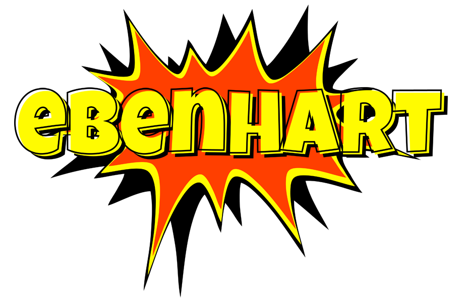 Ebenhart bazinga logo