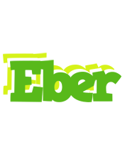 Eber picnic logo