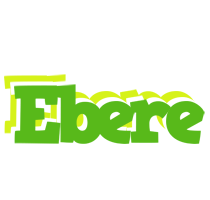 Ebere picnic logo