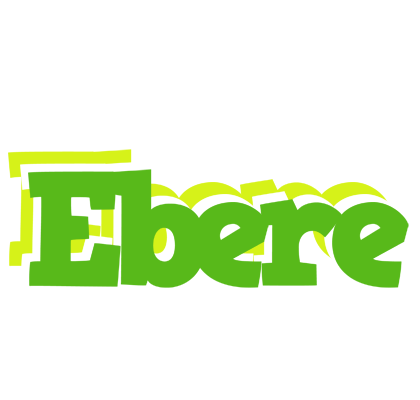 Ebere picnic logo