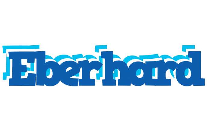 Eberhard business logo