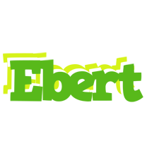 Ebert picnic logo