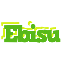 Ebisu picnic logo