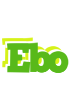 Ebo picnic logo