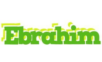Ebrahim picnic logo