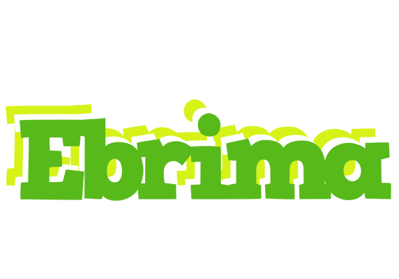 Ebrima picnic logo