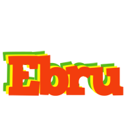 Ebru bbq logo