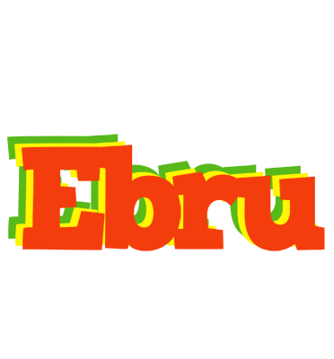Ebru bbq logo