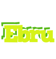 Ebru citrus logo