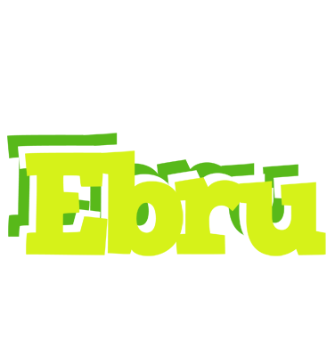 Ebru citrus logo
