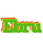 Ebru crocodile logo