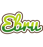 Ebru golfing logo