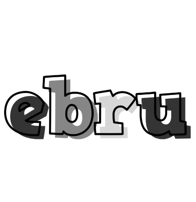Ebru night logo