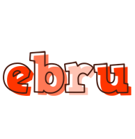 Ebru paint logo