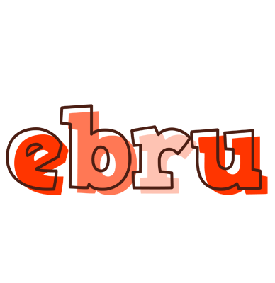 Ebru paint logo