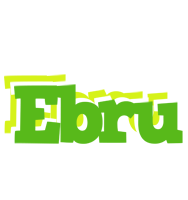 Ebru picnic logo