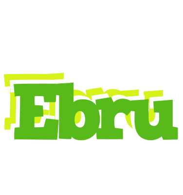 Ebru picnic logo