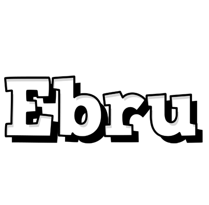 Ebru snowing logo