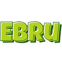 Ebru summer logo