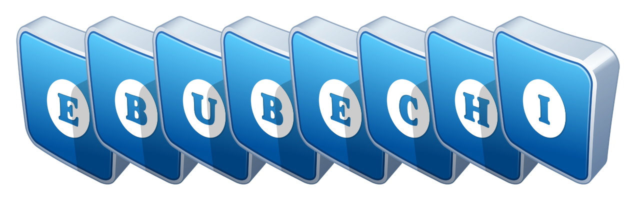 Ebubechi flippy logo