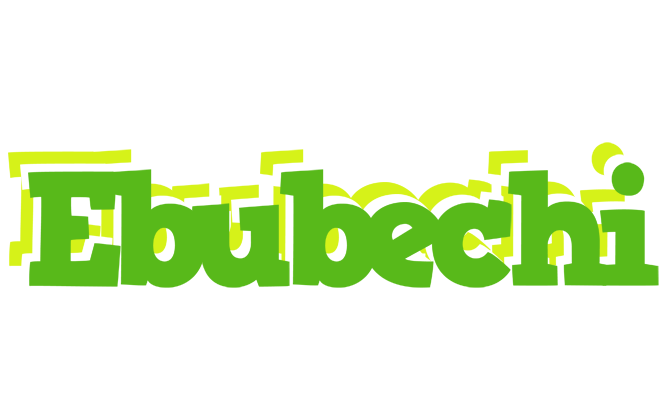 Ebubechi picnic logo