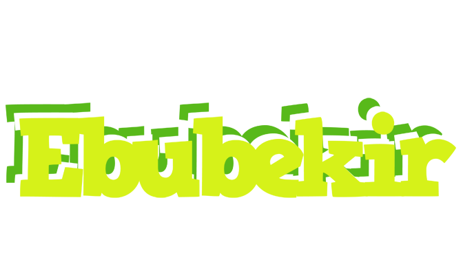 Ebubekir citrus logo