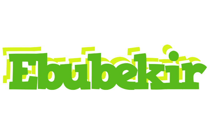 Ebubekir picnic logo